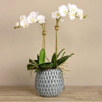 Artificial  Orchid Arrangement