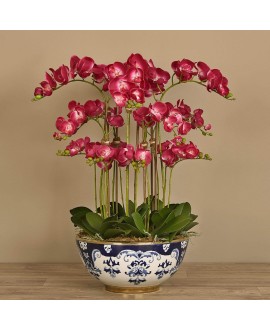 اوركيد صناعي