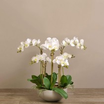 Sleek Artificial Orchid Arrangement