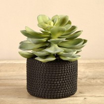 Artificial Potted Succulent