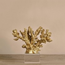 Coral Decoration