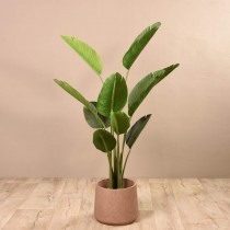 Artificial Strelitzia Plant