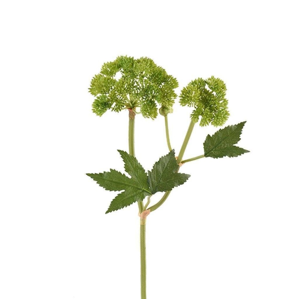 Artificial plants : Angelica