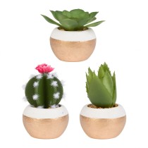Set of cactus x3