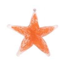 Starfish